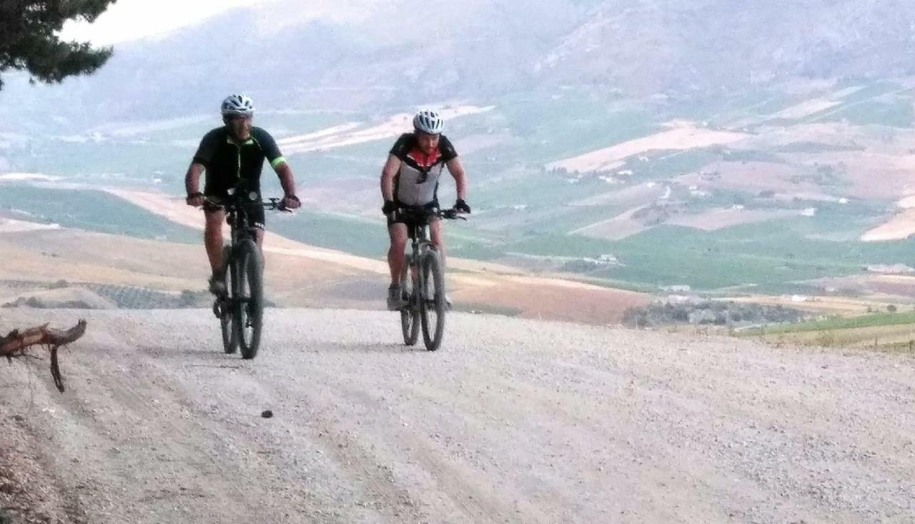 La Dimora Di Segesta B&B Calatafimi Ngoại thất bức ảnh